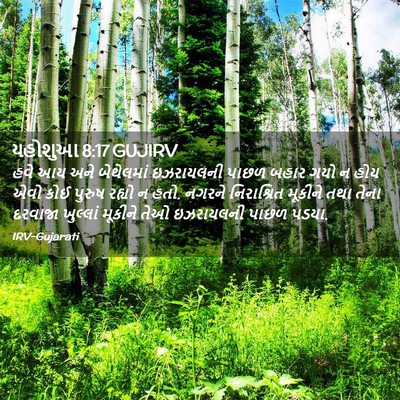 Picture 02 - યહોશુઆ 8:17 GUJIRV - હવે આય અને - Bible Verse Picture