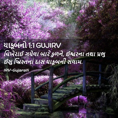 Picture 02 - યાકૂબનો 1:1 GUJIRV - વિખેરાઈ ગયેલા - Bible Verse Picture