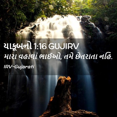 Picture 02 - યાકૂબનો 1:16 GUJIRV - મારા વહાલાં ભાઈઓ, - Bible Verse Picture