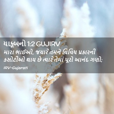 Picture 02 - યાકૂબનો 1:2 GUJIRV - મારા ભાઈઓ, જયારે - Bible Verse Picture