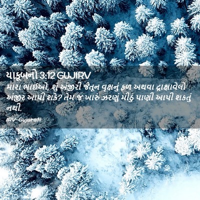 Picture 02 - યાકૂબનો 3:12 GUJIRV - મારા ભાઈઓ, શું - Bible Verse Picture