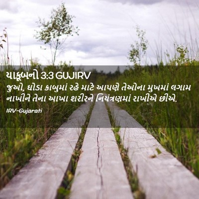 Picture 02 - યાકૂબનો 3:3 GUJIRV - જુઓ, ઘોડા કાબુમાં - Bible Verse Picture