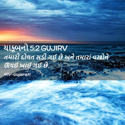Picture 02 - યાકૂબનો 5:2 GUJIRV - તમારી દોલત સડી ગઈ - Bible Verse Picture