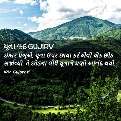 Picture 02 - યૂના 4:6 GUJIRV - ઈશ્વર પ્રભુએ, યૂના - Bible Verse Picture