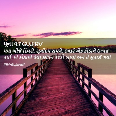Picture 02 - યૂના 4:7 GUJIRV - પણ બીજે દિવસે, - Bible Verse Picture