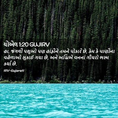 Picture 02 - યોએલ 1:20 GUJIRV - હા, જંગલી પશુઓ પણ - Bible Verse Picture
