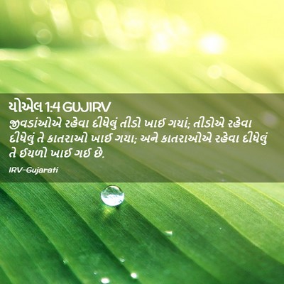 Picture 02 - યોએલ 1:4 GUJIRV - જીવડાંઓએ રહેવા - Bible Verse Picture