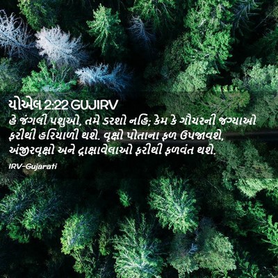 Picture 02 - યોએલ 2:22 GUJIRV - હે જંગલી પશુઓ, તમે - Bible Verse Picture