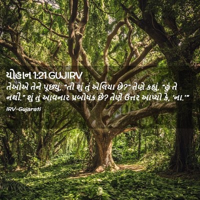 Picture 02 - યોહાન 1:21 GUJIRV - તેઓએ તેને પૂછ્યું, - Bible Verse Picture