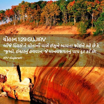 Picture 02 - યોહાન 1:29 GUJIRV - બીજે દિવસે તે - Bible Verse Picture