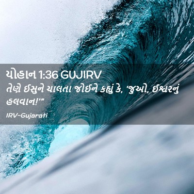 Picture 02 - યોહાન 1:36 GUJIRV - તેણે ઈસુને ચાલતા - Bible Verse Picture