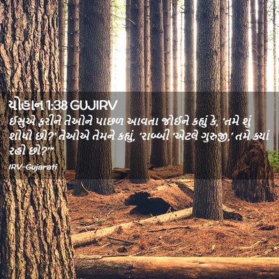Picture 02 - યોહાન 1:38 GUJIRV - ઈસુએ ફરીને તેઓને - Bible Verse Picture