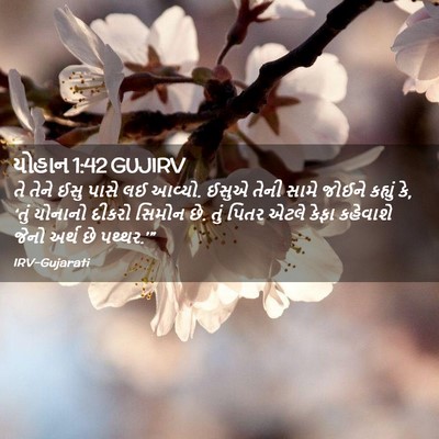 Picture 02 - યોહાન 1:42 GUJIRV - તે તેને ઈસુ પાસે લઈ - Bible Verse Picture