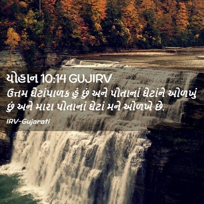 Picture 02 - યોહાન 10:14 GUJIRV - ઉત્તમ ઘેટાંપાળક - Bible Verse Picture