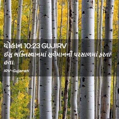 Picture 02 - યોહાન 10:23 GUJIRV - ઈસુ ભક્તિસ્થાનમાં - Bible Verse Picture