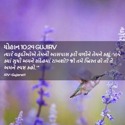 Picture 02 - યોહાન 10:24 GUJIRV - ત્યારે યહૂદીઓએ - Bible Verse Picture