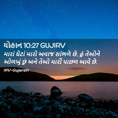 Picture 02 - યોહાન 10:27 GUJIRV - મારાં ઘેટાં મારો - Bible Verse Picture