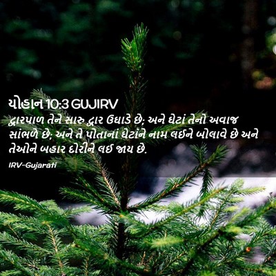 Picture 02 - યોહાન 10:3 GUJIRV - દ્વારપાળ તેને - Bible Verse Picture