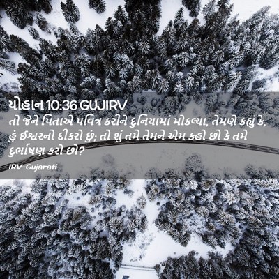 Picture 02 - યોહાન 10:36 GUJIRV - તો જેને પિતાએ - Bible Verse Picture