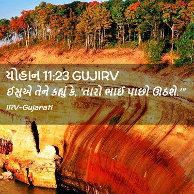Picture 02 - યોહાન 11:23 GUJIRV - ઈસુએ તેને કહ્યું - Bible Verse Picture