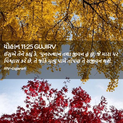 Picture 02 - યોહાન 11:25 GUJIRV - ઈસુએ તેને કહ્યું - Bible Verse Picture