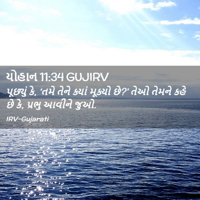 Picture 02 - યોહાન 11:34 GUJIRV - પૂછ્યું કે, ‘તમે - Bible Verse Picture