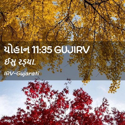 Picture 02 - યોહાન 11:35 GUJIRV - ઈસુ - Bible Verse Picture
