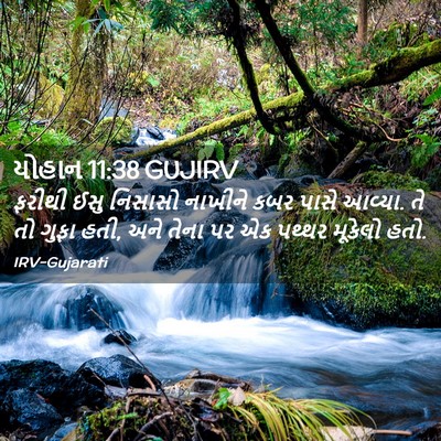 Picture 02 - યોહાન 11:38 GUJIRV - ફરીથી ઈસુ નિસાસો - Bible Verse Picture