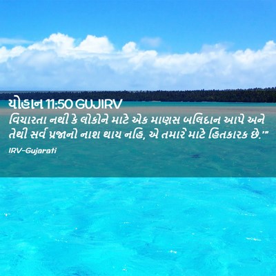 Picture 02 - યોહાન 11:50 GUJIRV - વિચારતા નથી કે - Bible Verse Picture