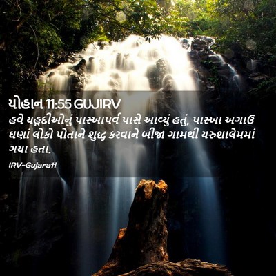 Picture 02 - યોહાન 11:55 GUJIRV - હવે યહૂદીઓનું - Bible Verse Picture