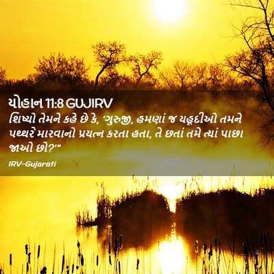 Picture 02 - યોહાન 11:8 GUJIRV - શિષ્યો તેમને કહે - Bible Verse Picture