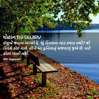 Picture 02 - યોહાન 11:9 GUJIRV - ઈસુએ જવાબ આપ્યો કે, - Bible Verse Picture