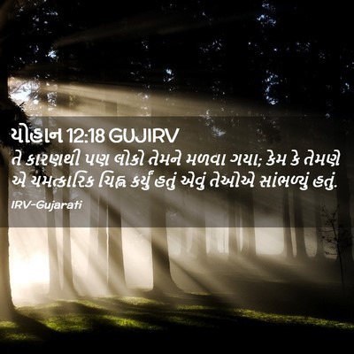Picture 02 - યોહાન 12:18 GUJIRV - તે કારણથી પણ લોકો - Bible Verse Picture