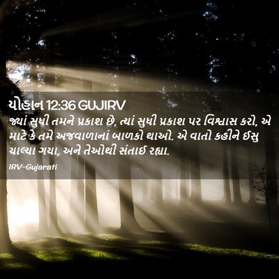 Picture 02 - યોહાન 12:36 GUJIRV - જ્યાં સુધી તમને - Bible Verse Picture