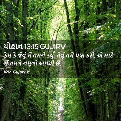 Picture 02 - યોહાન 13:15 GUJIRV - કેમ કે જેવું મેં - Bible Verse Picture