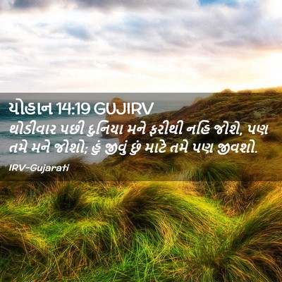 Picture 02 - યોહાન 14:19 GUJIRV - થોડીવાર પછી - Bible Verse Picture