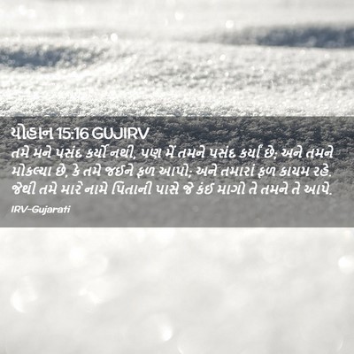 Picture 02 - યોહાન 15:16 GUJIRV - તમે મને પસંદ કર્યો - Bible Verse Picture