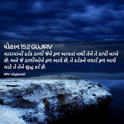Picture 02 - યોહાન 15:2 GUJIRV - મારામાંની દરેક - Bible Verse Picture