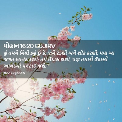 Picture 02 - યોહાન 16:20 GUJIRV - હું તમને નિશ્ચે - Bible Verse Picture
