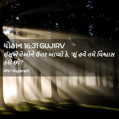 Picture 02 - યોહાન 16:31 GUJIRV - ઈસુએ તેઓને ઉત્તર - Bible Verse Picture