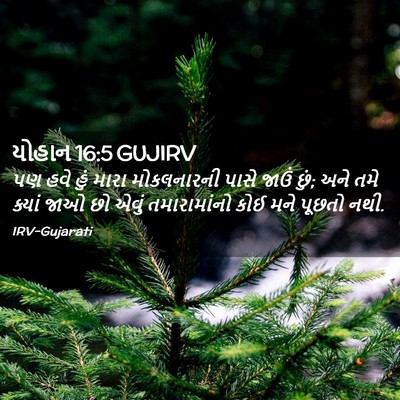 Picture 02 - યોહાન 16:5 GUJIRV - પણ હવે હું મારા - Bible Verse Picture