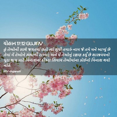 Picture 02 - યોહાન 17:12 GUJIRV - હું તેઓની સાથે - Bible Verse Picture