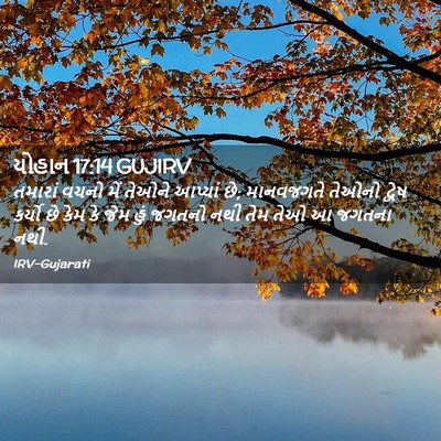 Picture 02 - યોહાન 17:14 GUJIRV - તમારાં વચનો મેં - Bible Verse Picture