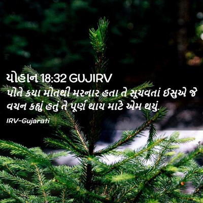 Picture 02 - યોહાન 18:32 GUJIRV - પોતે કયા મોતથી - Bible Verse Picture