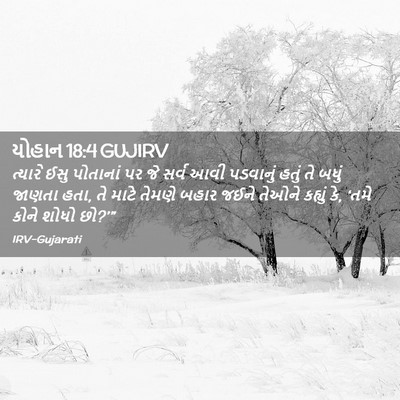 Picture 02 - યોહાન 18:4 GUJIRV - ત્યારે ઈસુ - Bible Verse Picture
