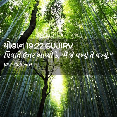 Picture 02 - યોહાન 19:22 GUJIRV - પિલાતે ઉત્તર - Bible Verse Picture