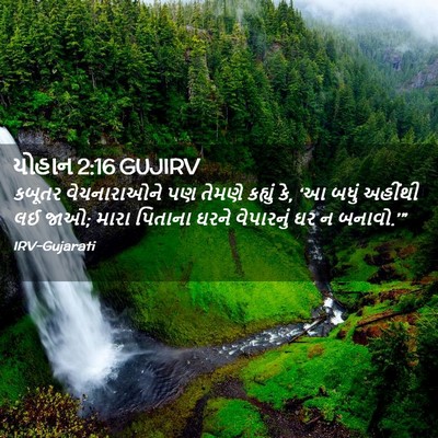 Picture 02 - યોહાન 2:16 GUJIRV - કબૂતર વેચનારાઓને - Bible Verse Picture