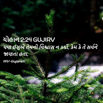 Picture 02 - યોહાન 2:24 GUJIRV - પણ ઈસુએ તેમનો - Bible Verse Picture