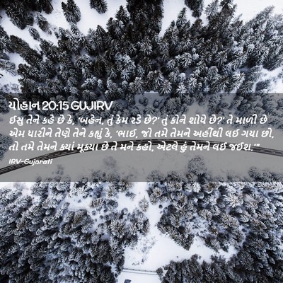 Picture 02 - યોહાન 20:15 GUJIRV - ઈસુ તેને કહે છે કે, - Bible Verse Picture