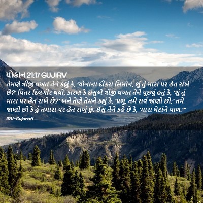 Picture 02 - યોહાન 21:17 GUJIRV - તેમણે ત્રીજી વખત - Bible Verse Picture